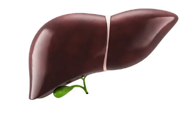 Medical Latest News - Fatty liver featured image
