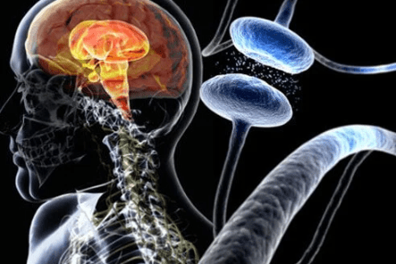 blog-parkinson disease